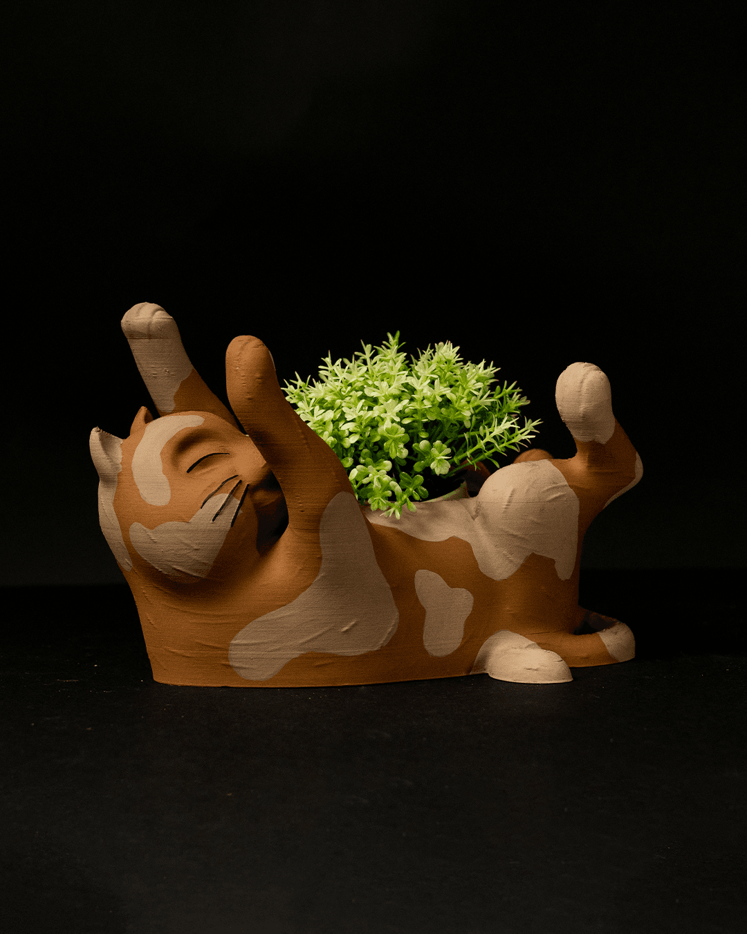 Cat Planter 2