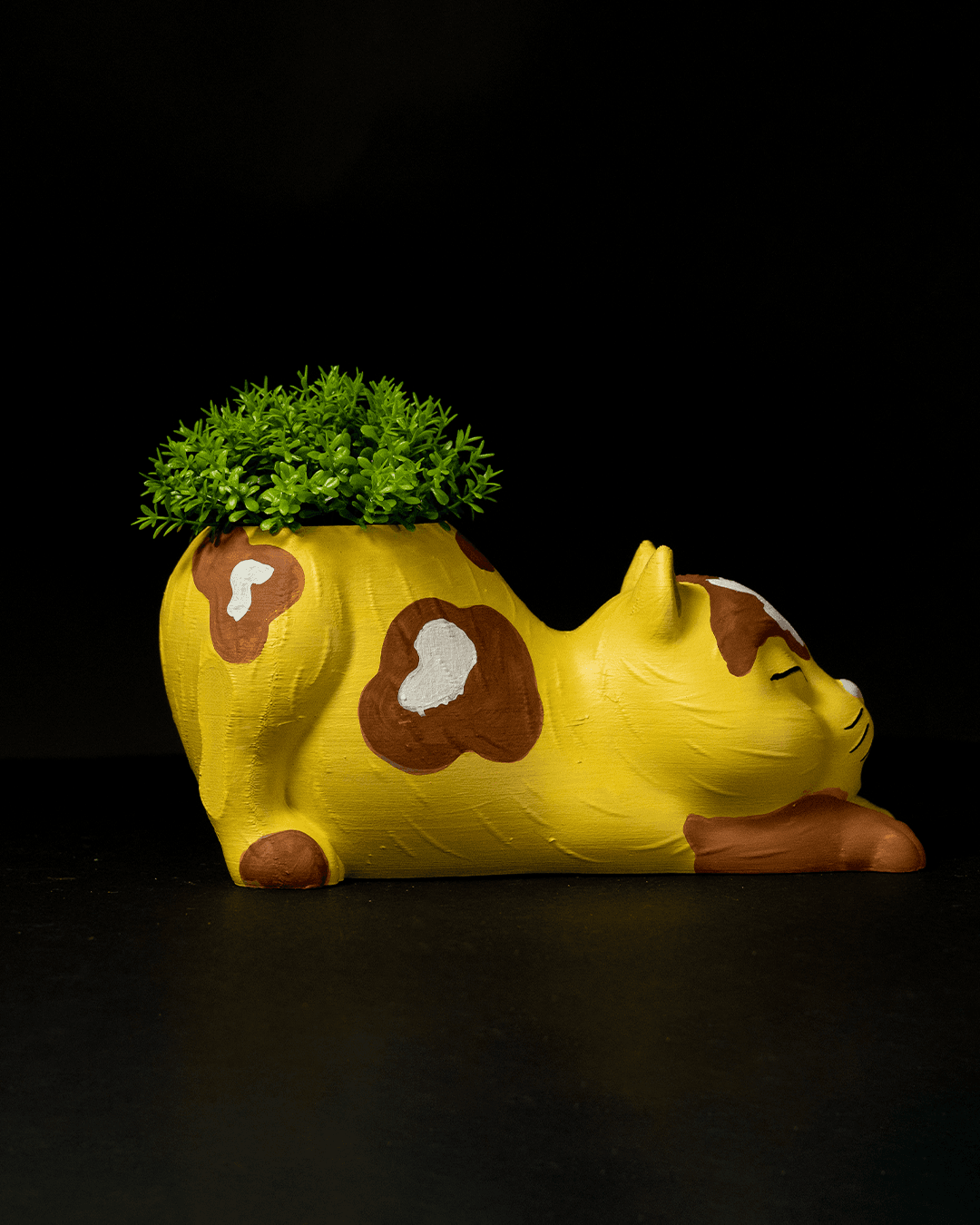 Cat Planter 3