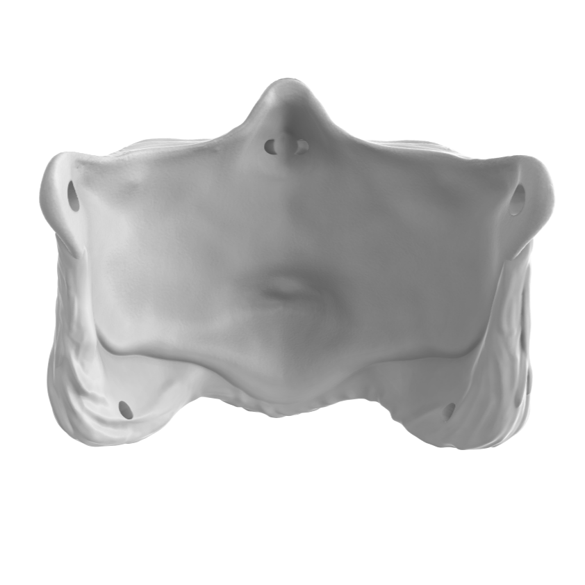 Orc Mask