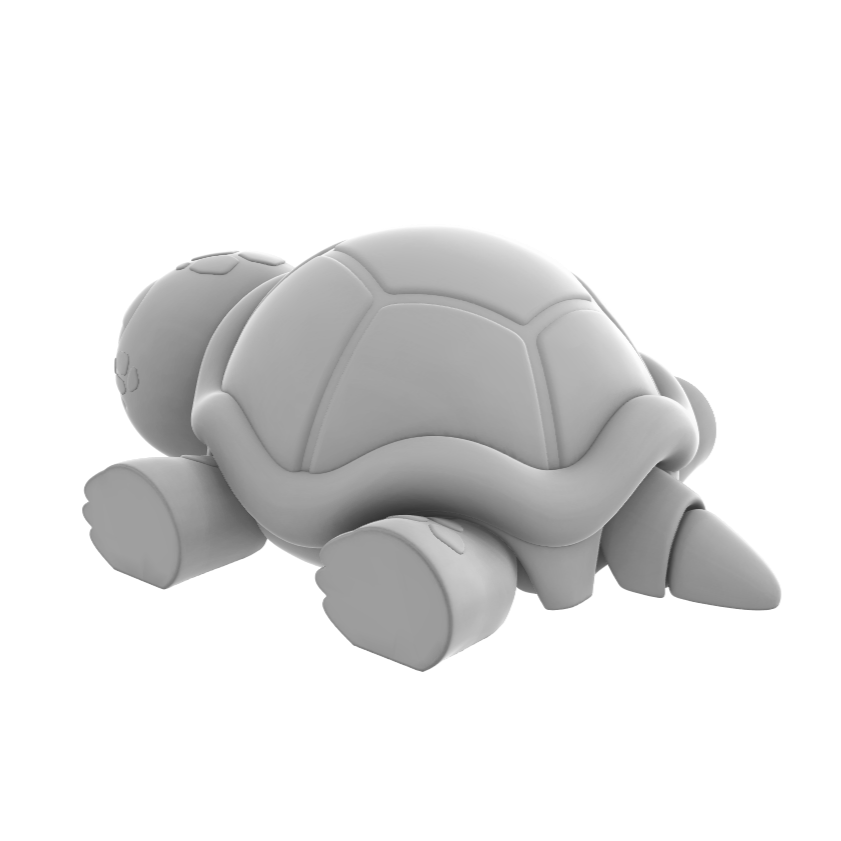 Unamused Turtle