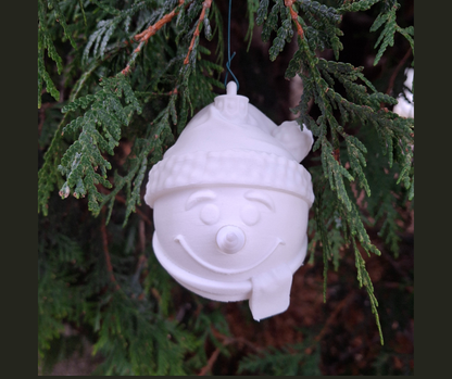 Christmas Bulb Ornaments 2025