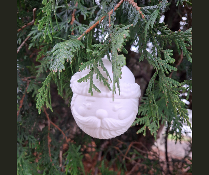 Christmas Bulb Ornaments 2025