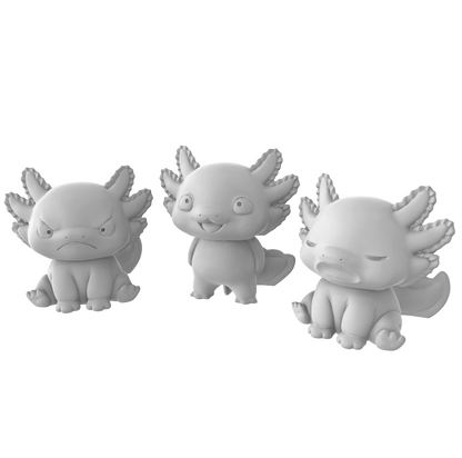 Axolotl Display