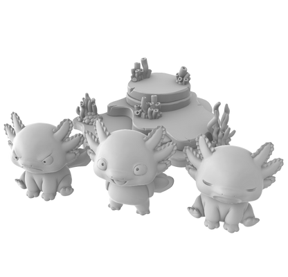 Axolotl Display