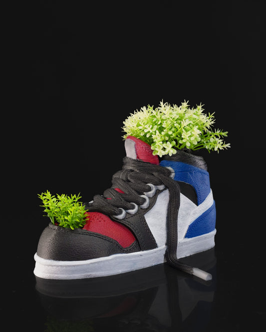 Shoe Planter