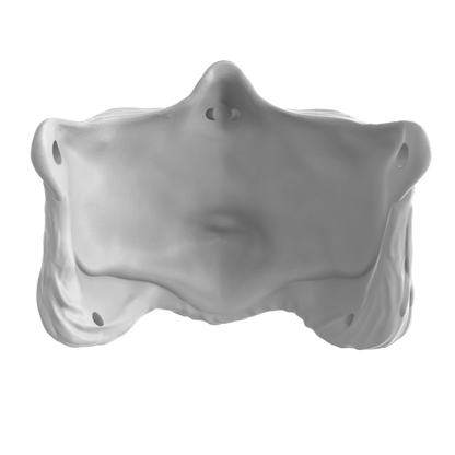 Orc Mask
