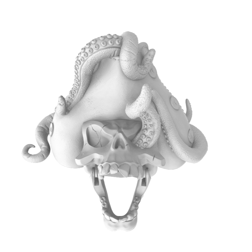 Pirate Octopus Door Knocker