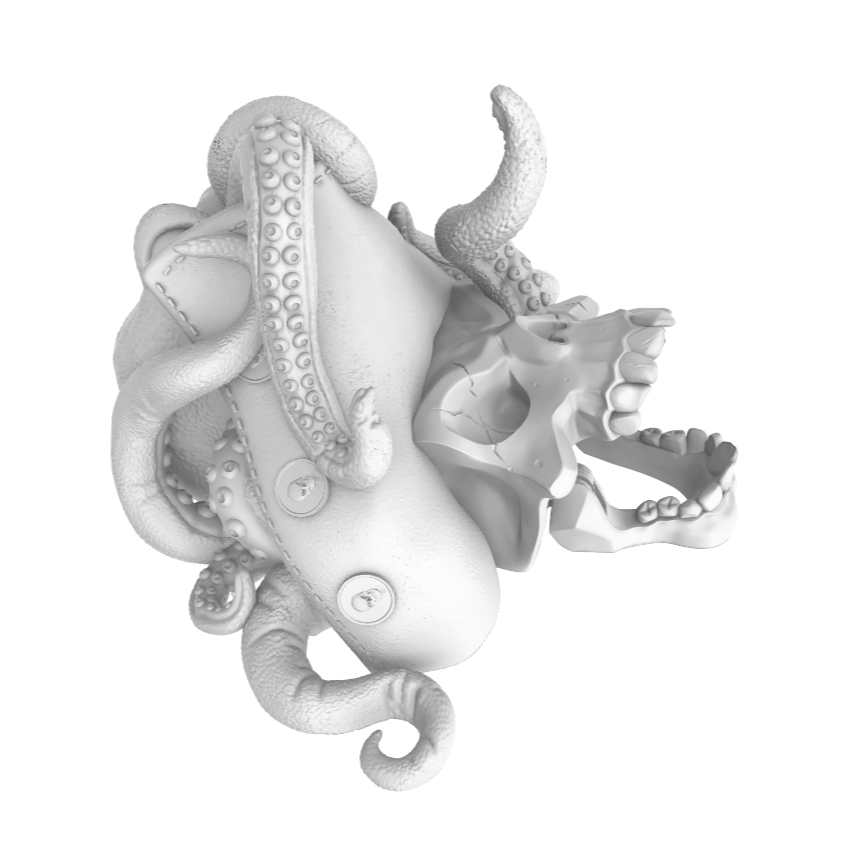 Pirate Octopus Door Knocker