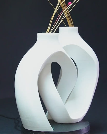 Double Modern Vase